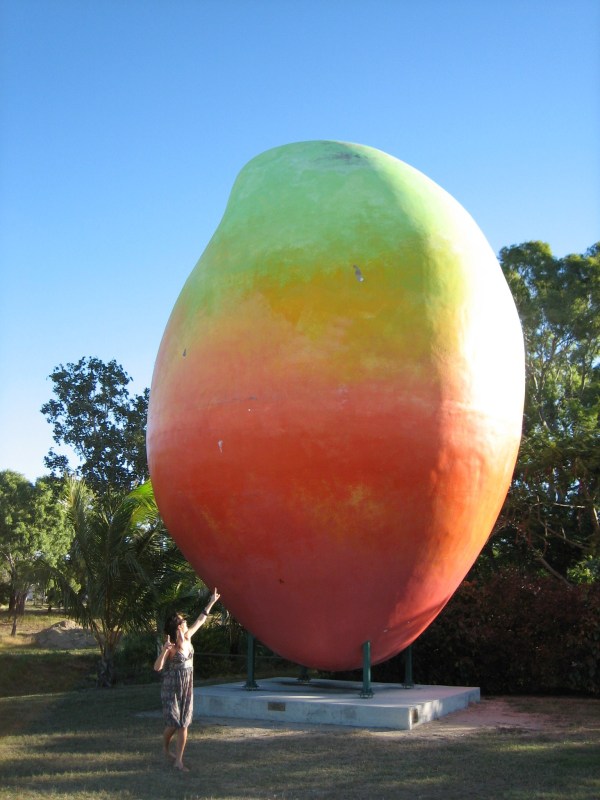 The big mango, Queensland Australia