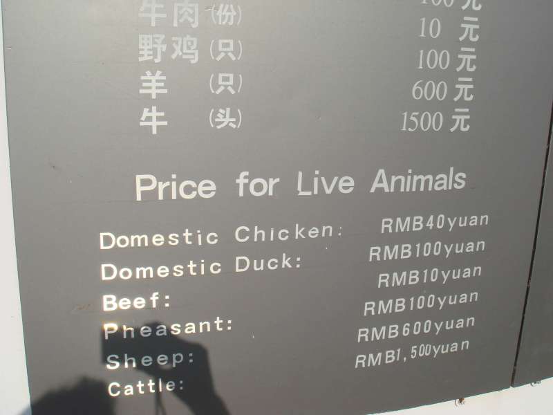 Harbin tiger park, price list for feeding live animals, China
