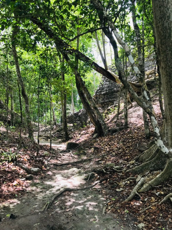 Helicopter trip to El Mirador in the heart of the Guatemalan jungle