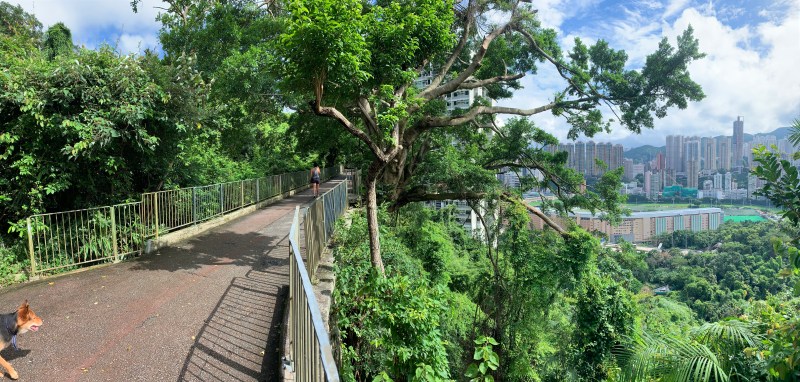 Hong Kong hidden highlights - Typical views along Bowen Road, which links Central Hong Kong to nearby Happy Valley and is flat throughout