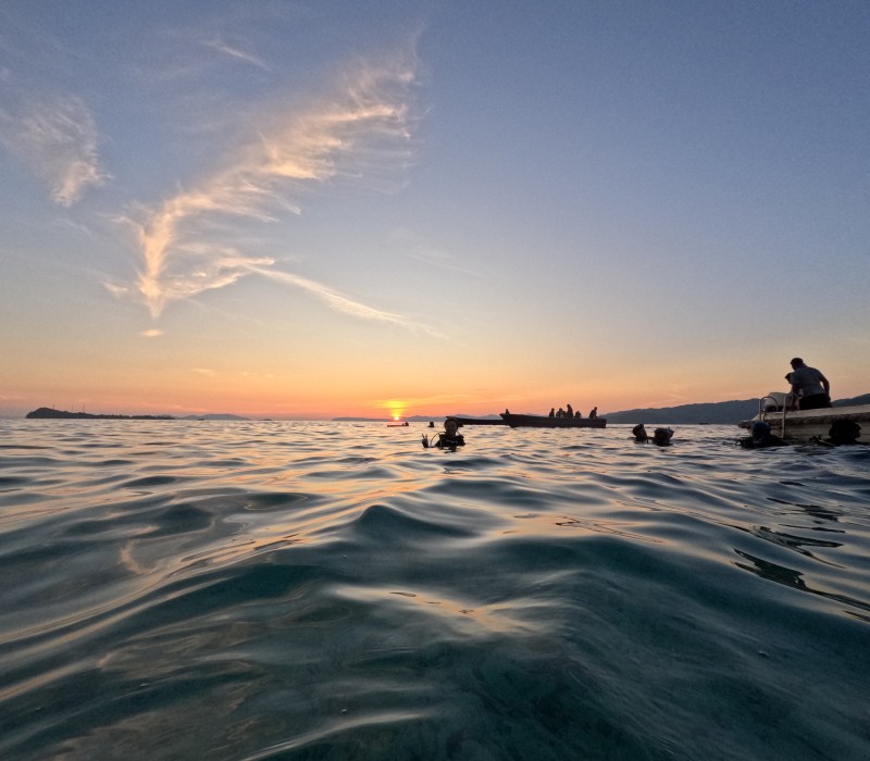 Raja Ampat - Sawanderek - you rock up and see its a basic jetty next to one of the villages. Huge numbers of fish, all helped by being a shallow dive so the colours of the coral and fish come through brightly. Night dive