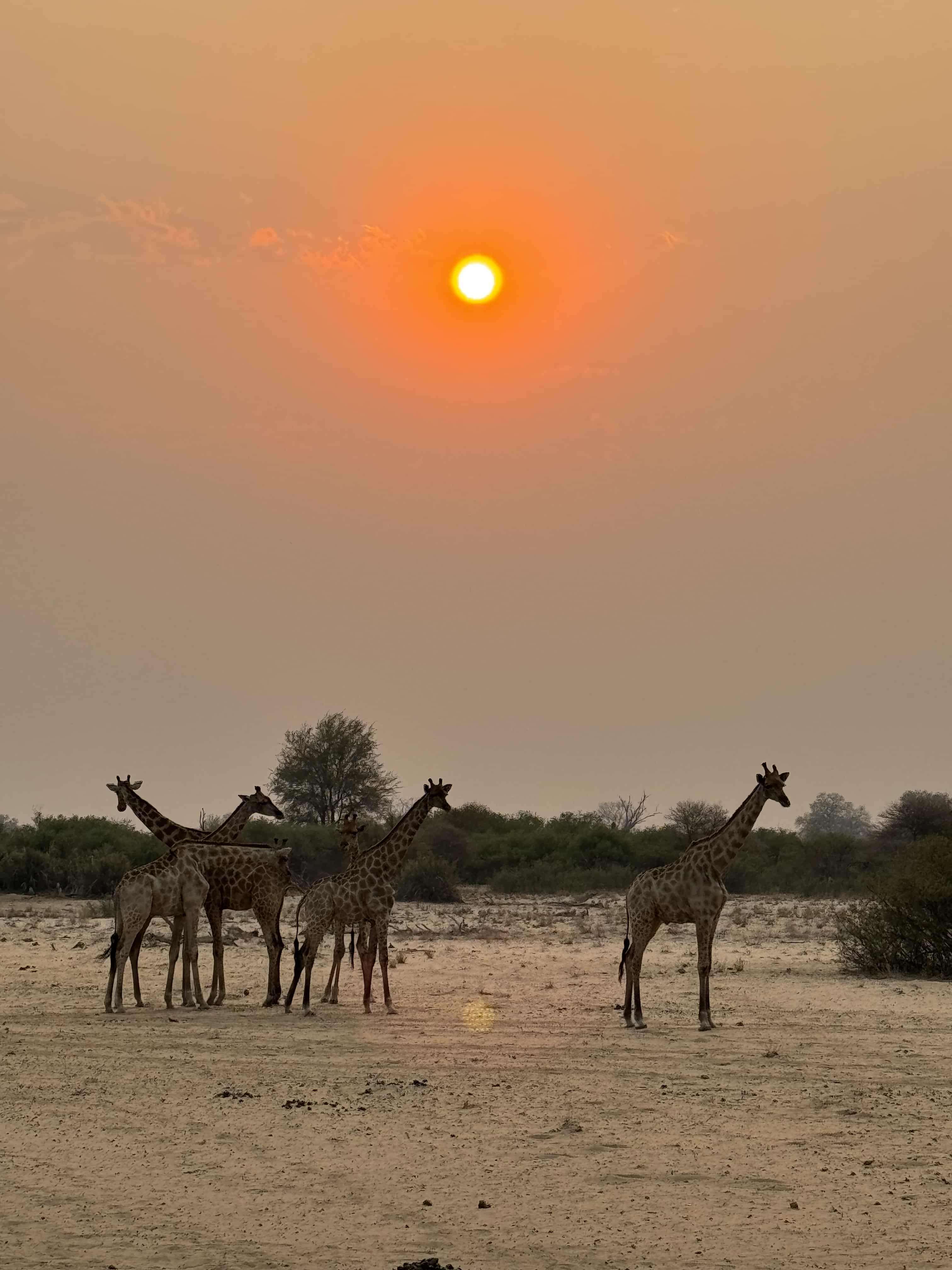 Africa