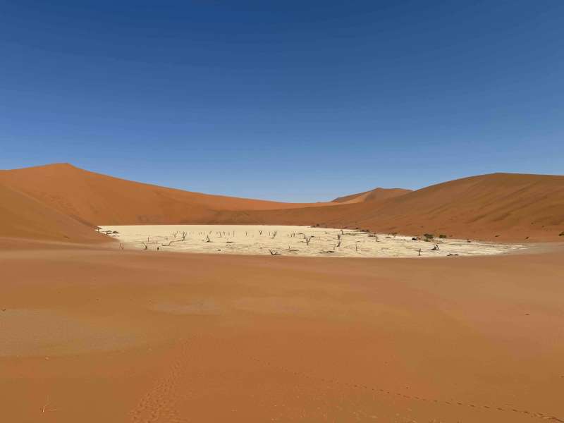 Deadvlei - isolated desert spot in Sossusvlei Namibia