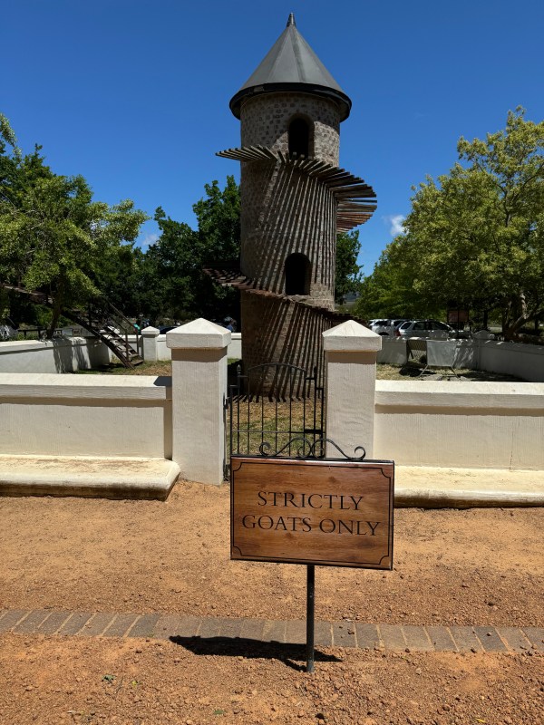 South Africa's Winelands - No kidding about at Fairview