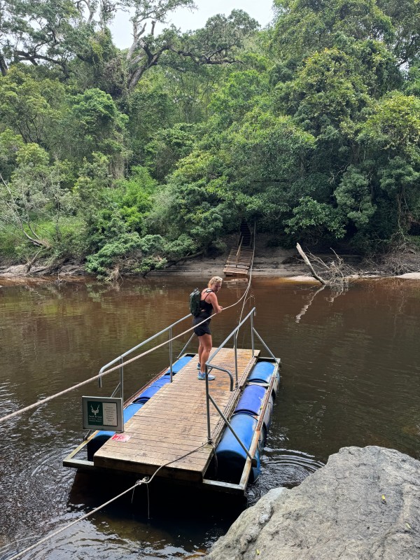 The Garden Route - pulleys needed for Half Collared Kingfisher Trail