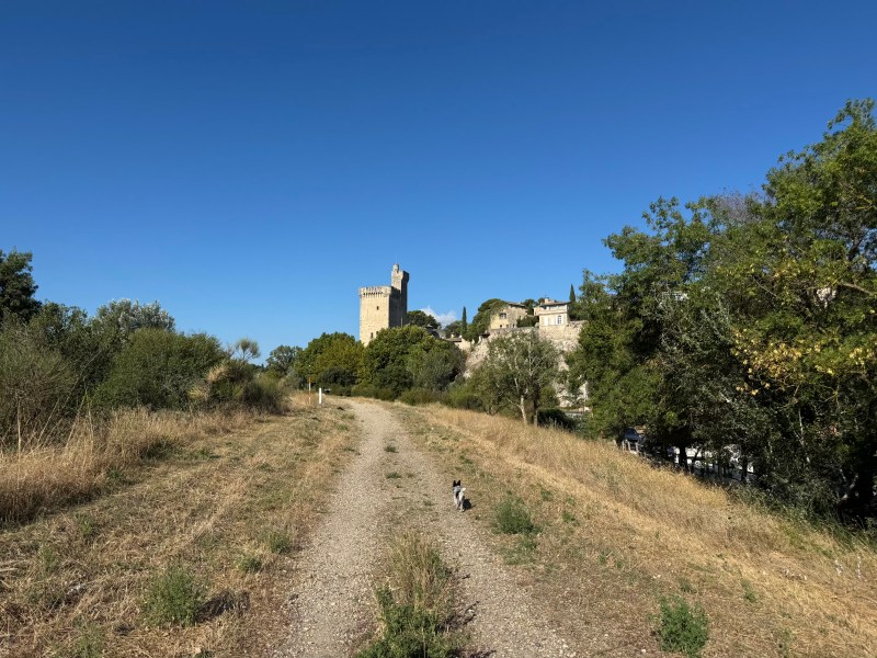 Rural Provence - Walking along the Rhone towards Villenueve-les-Avignon's Tour Philippe-le-Bel