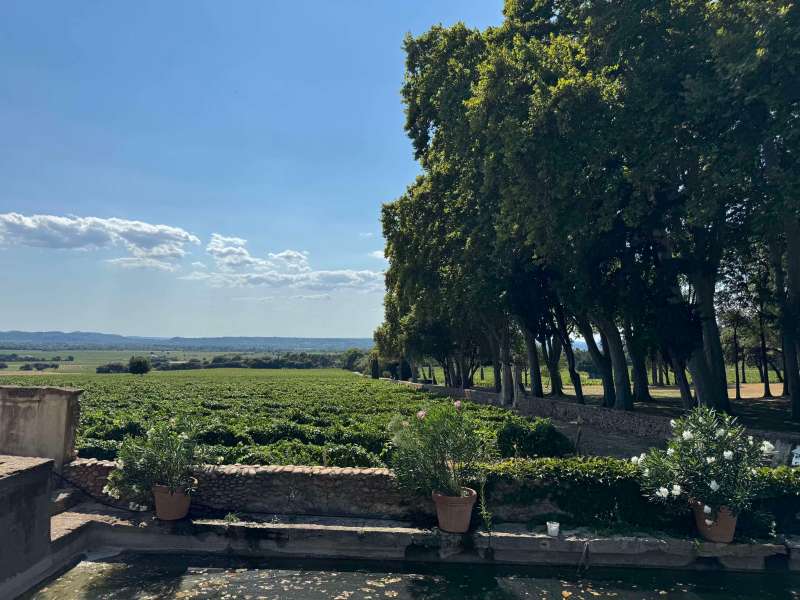 Rural provence - Chateau Neuf du Pape's Chateau la Nerthe for the beautiful grounds and wine sampling