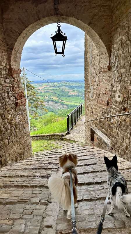 Penna San Giovani Old Town in Marche